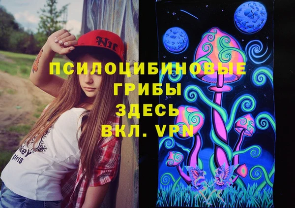 Альфа ПВП Абаза