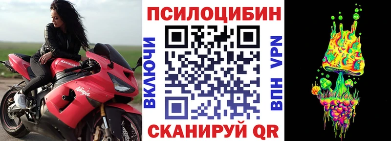 купить цена Касли Псилоцибиновые грибы ЛСД